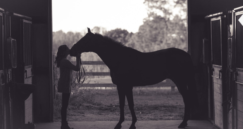 Rye Colorado Horseback Riding